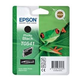 EPSON T0541 Negro Photo