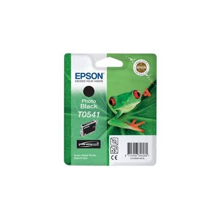 EPSON T0541 Negro Photo