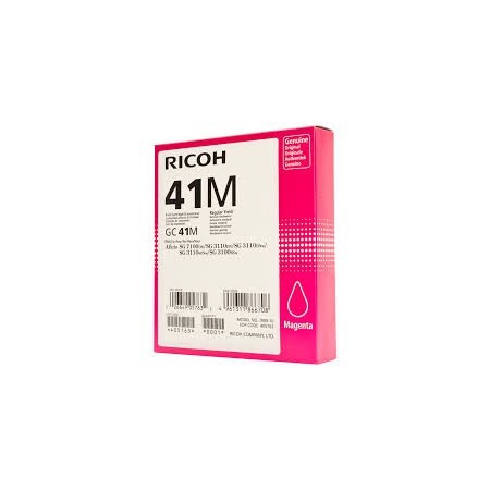 RICOH GC 41K Negro 405761