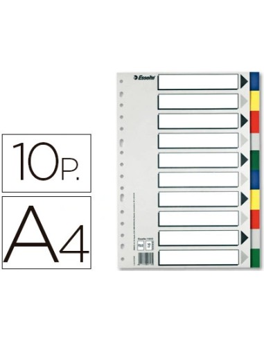 Separador Esselte plastico A-4 multitaladro...